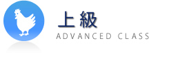 上級